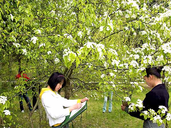 已积淀46年艺术职业安博app官网深